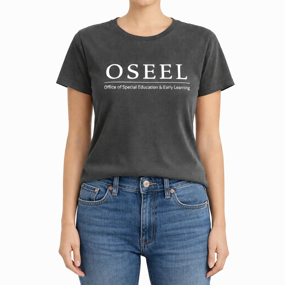 3/$20 Bundle 🌈District Perfect Weight OSEEL Graphic T-Shirt Charcoal Gray
